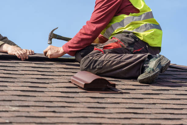 Best Roof Gutter Cleaning  in Fairplains, NC